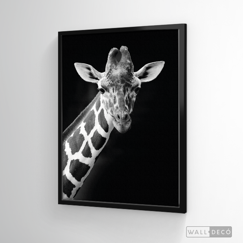 Cuadro Animales Jirafa B/N