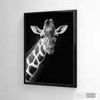 Cuadro Animales Jirafa B/N