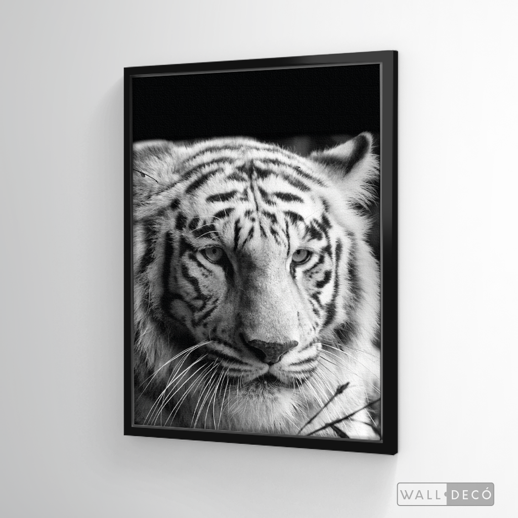 Cuadro Animales Tigre Blanco B/N