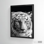Cuadro Animales Tigre Blanco B/N