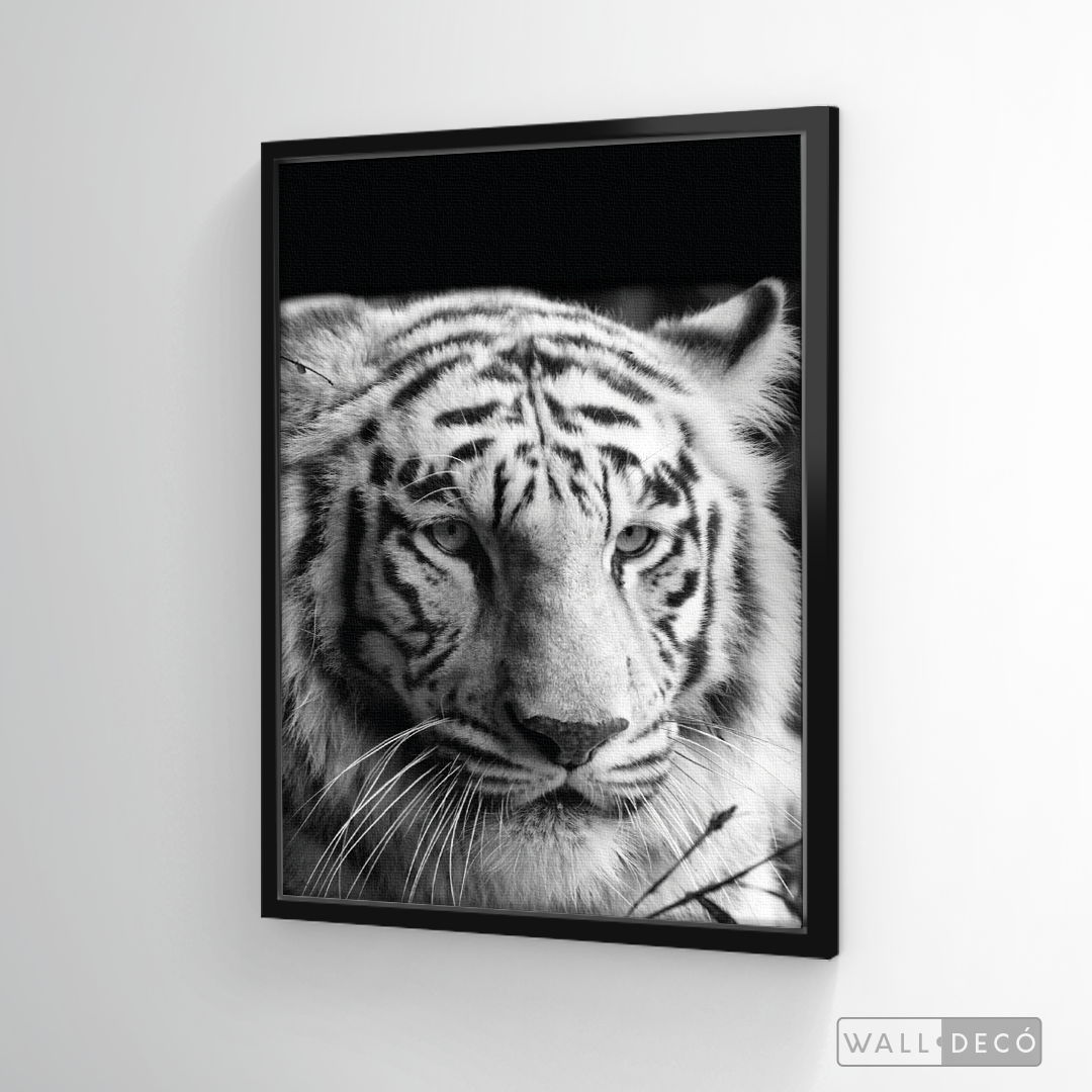 Cuadro Animales Tigre Blanco B/N