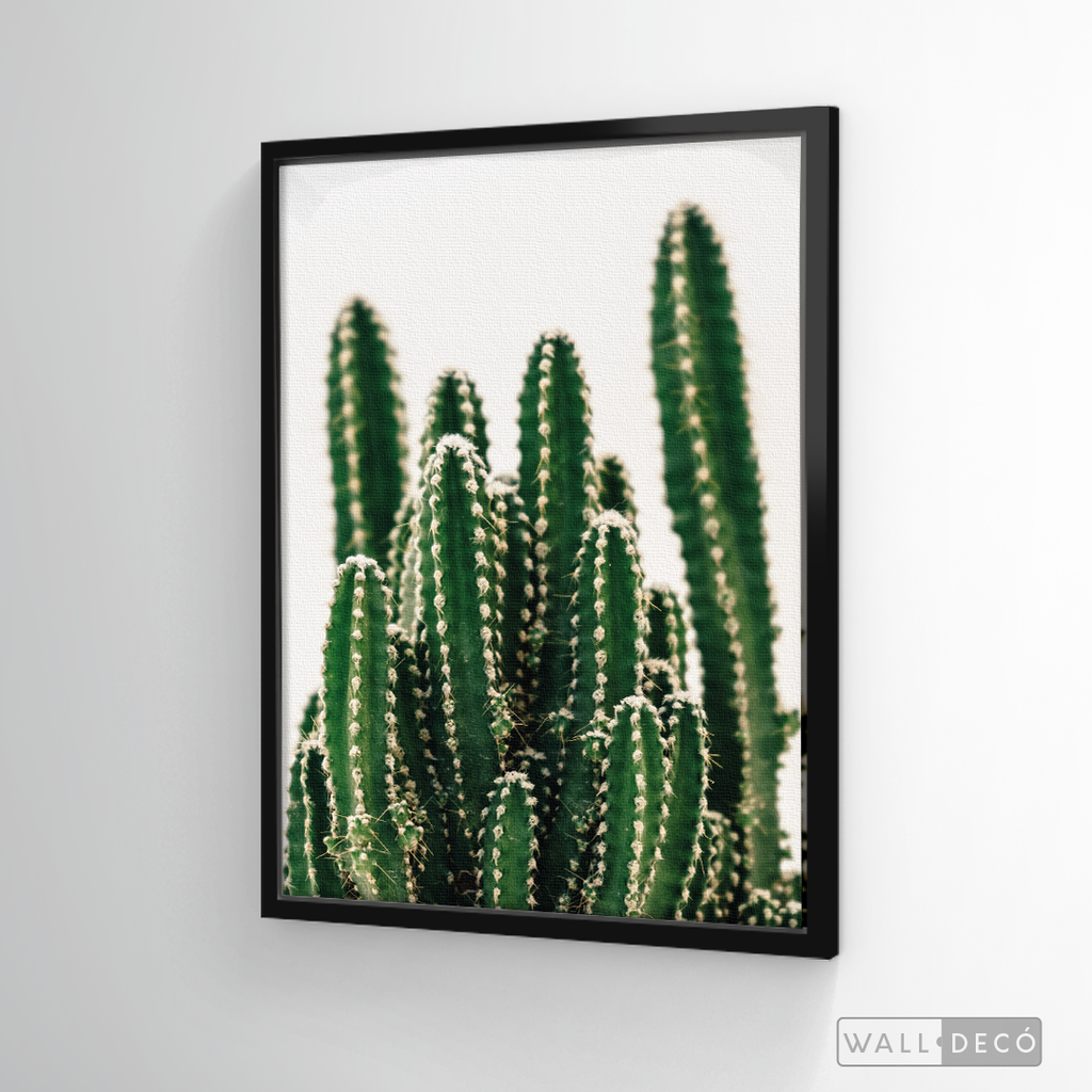 Cuadro Botánico CACTUS - WalldecóStore