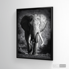 Cuadro Animales Elefante Real B/N