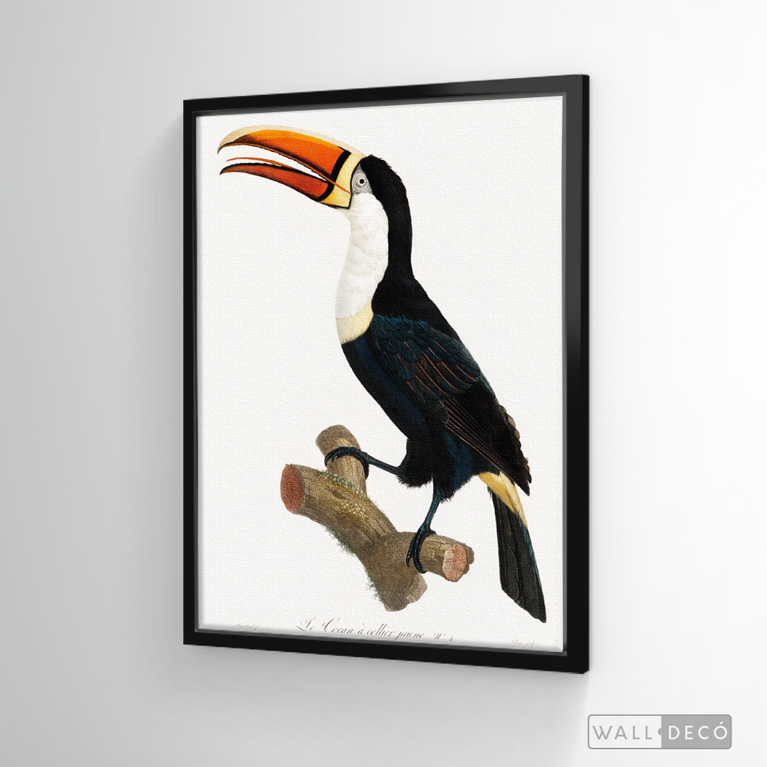 Cuadro Aves Tucan Colombiano 1