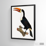Cargar imagen en el visor de la galería, Cuadro Aves Tucan Colombiano 1
