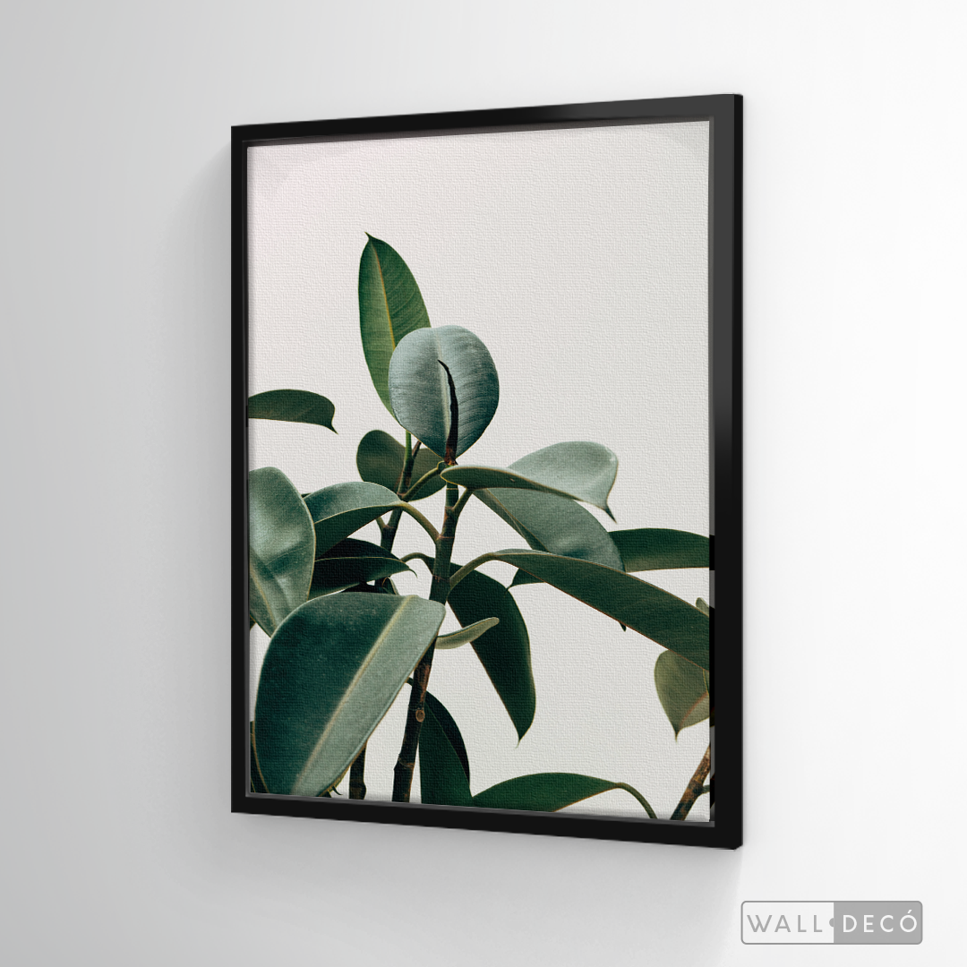 Cuadro Botánico CHEFLERA - WalldecóStore
