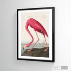 Cuadro Aves Flamenco Mayor