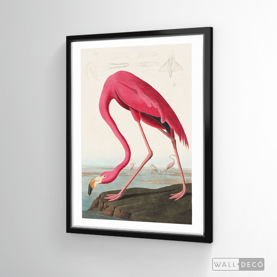 Cuadro Aves Flamenco Mayor
