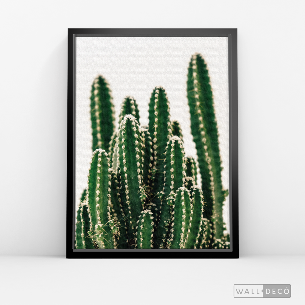Cuadro Botánico CACTUS - WalldecóStore