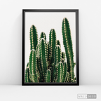 Cuadro Botánico CACTUS - WalldecóStore