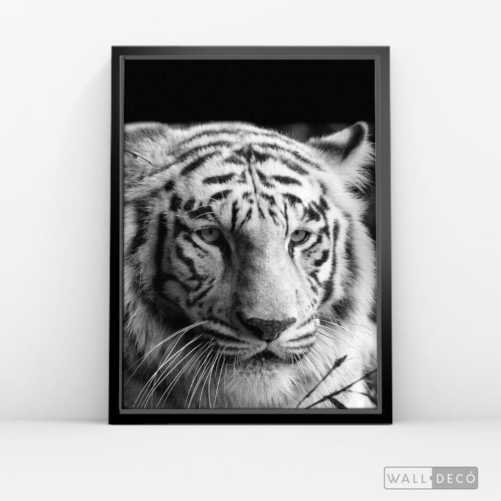 Cuadro Animales Tigre Blanco B/N