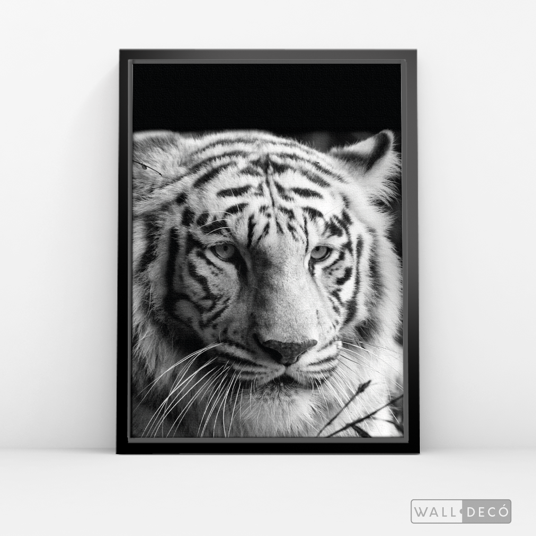 Cuadro Animales Tigre Blanco B/N