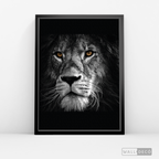 Cuadro Animales León (B) B/N