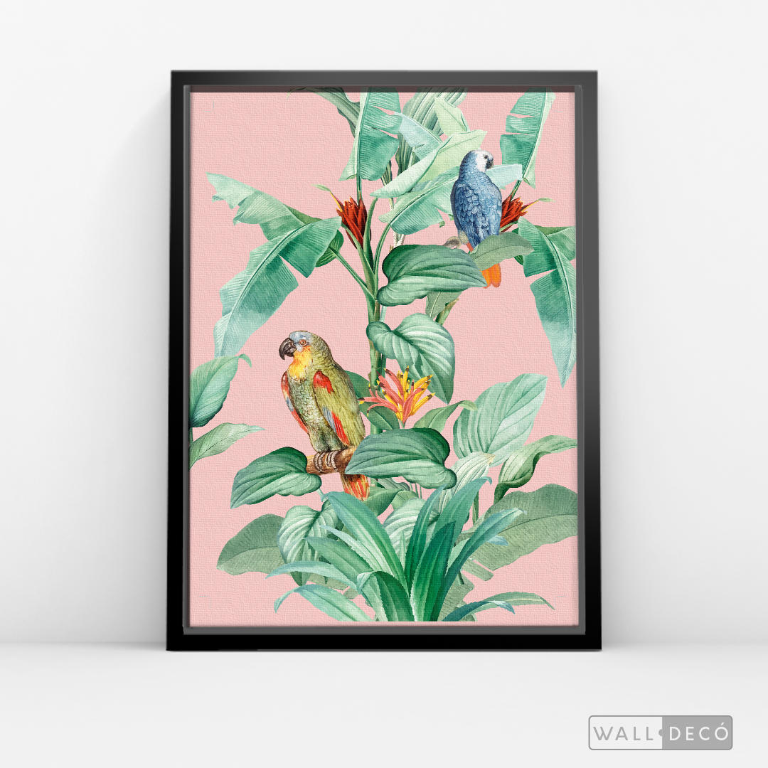 Cuadro Aves Loro Real