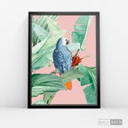 Cuadro Aves Loro Real Azul
