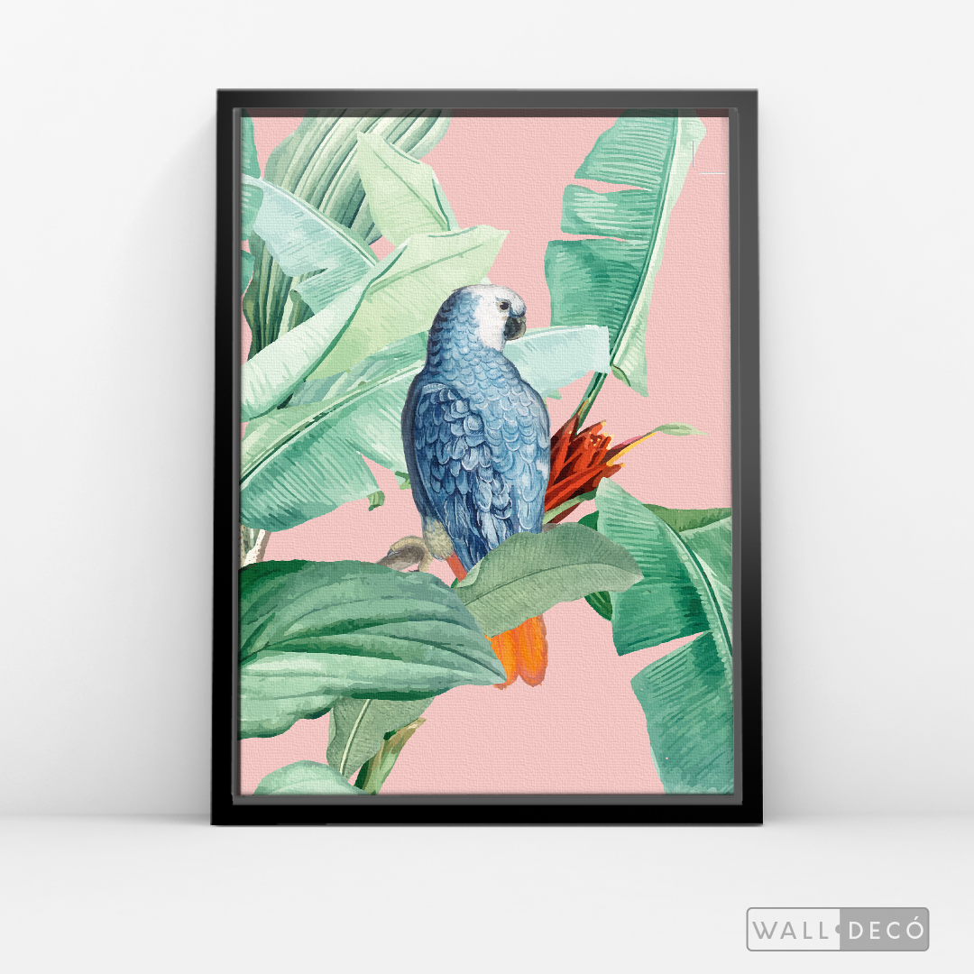 Cuadro Aves Loro Real Azul