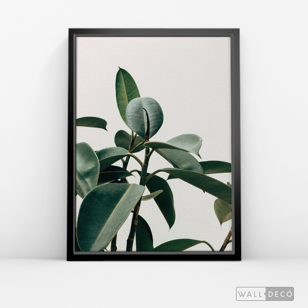 Cuadro Botánico CHEFLERA - WalldecóStore