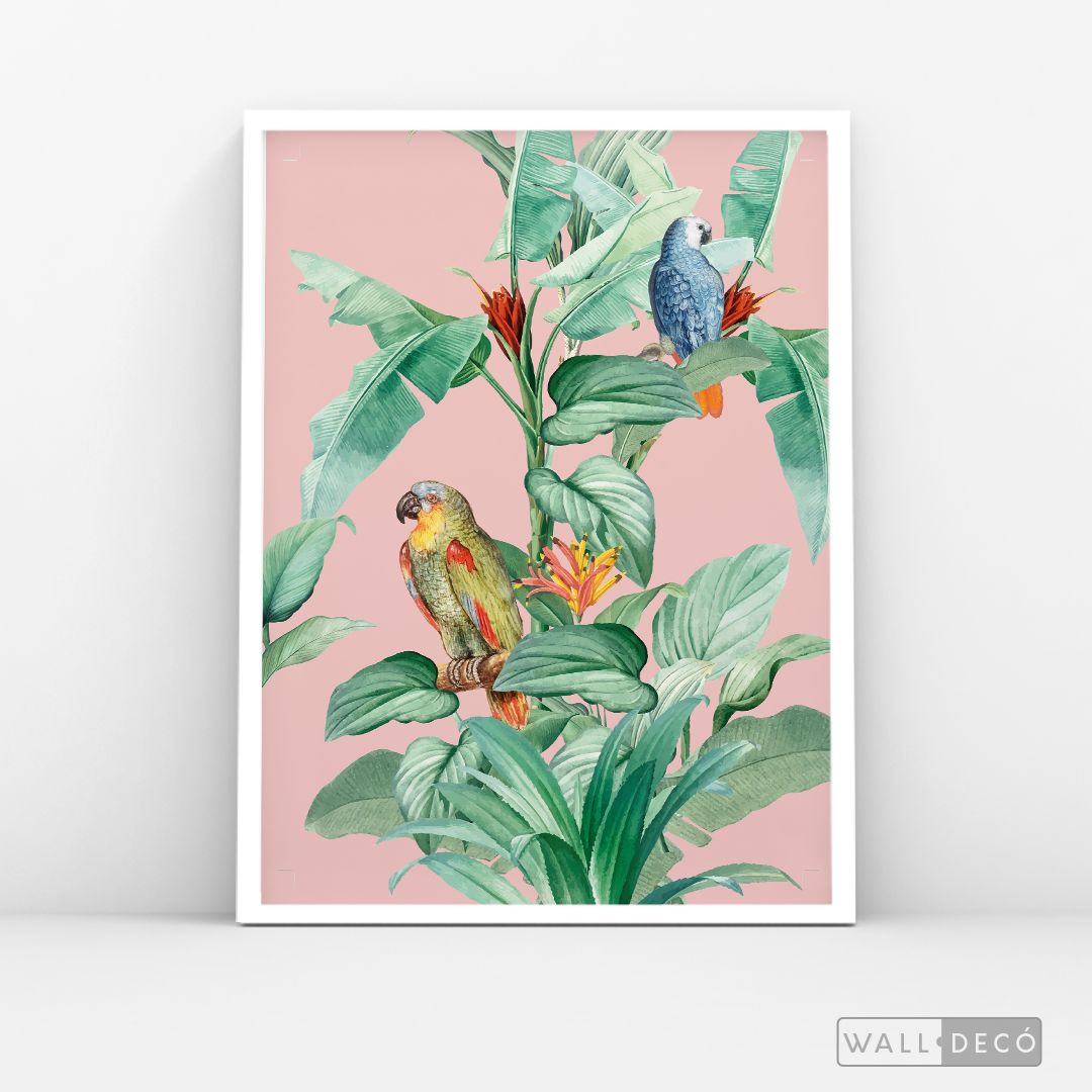 Cuadro Aves Loro Real