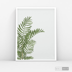 Cuadro Botánico HELECHO - WalldecóStore