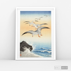 Cuadro Aves Gaviotas Japón
