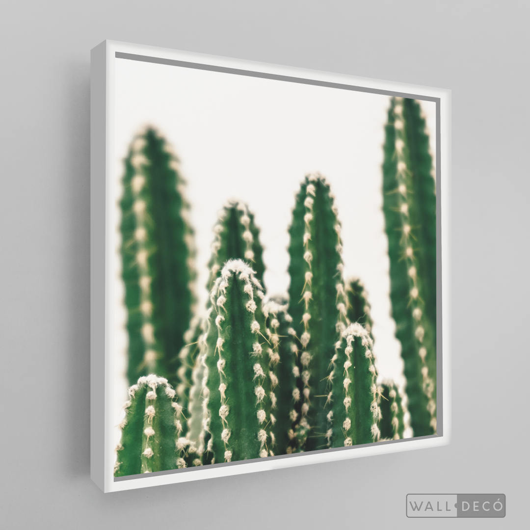 Cuadro Botánico CACTUS