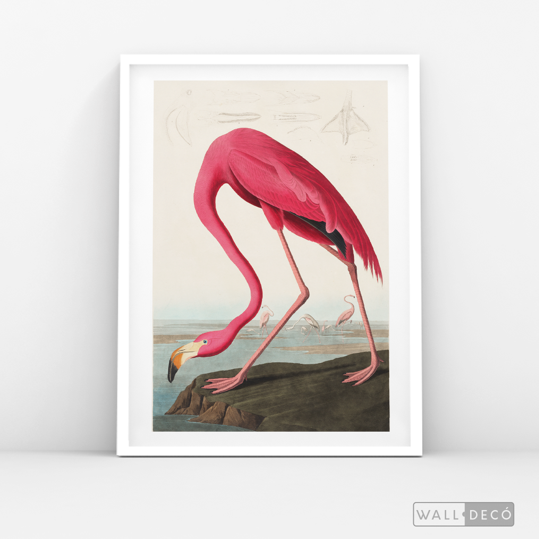 Cuadro Aves Flamenco Mayor