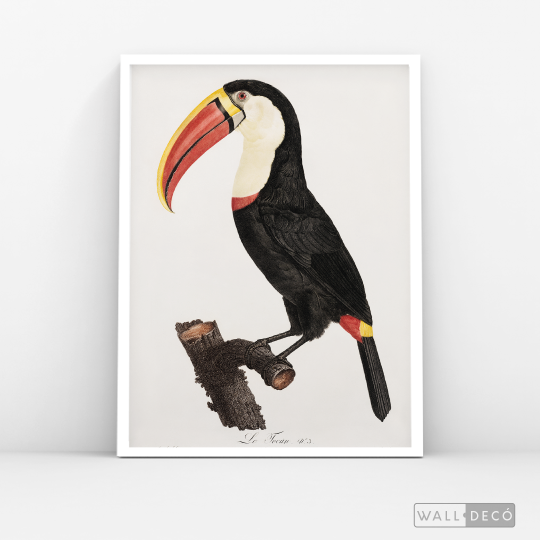 Cuadro Aves Tucan Colombiano 2