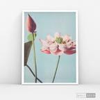 Cuadro Botánico Flores Azucena