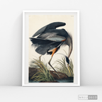 Cuadro Aves Garza