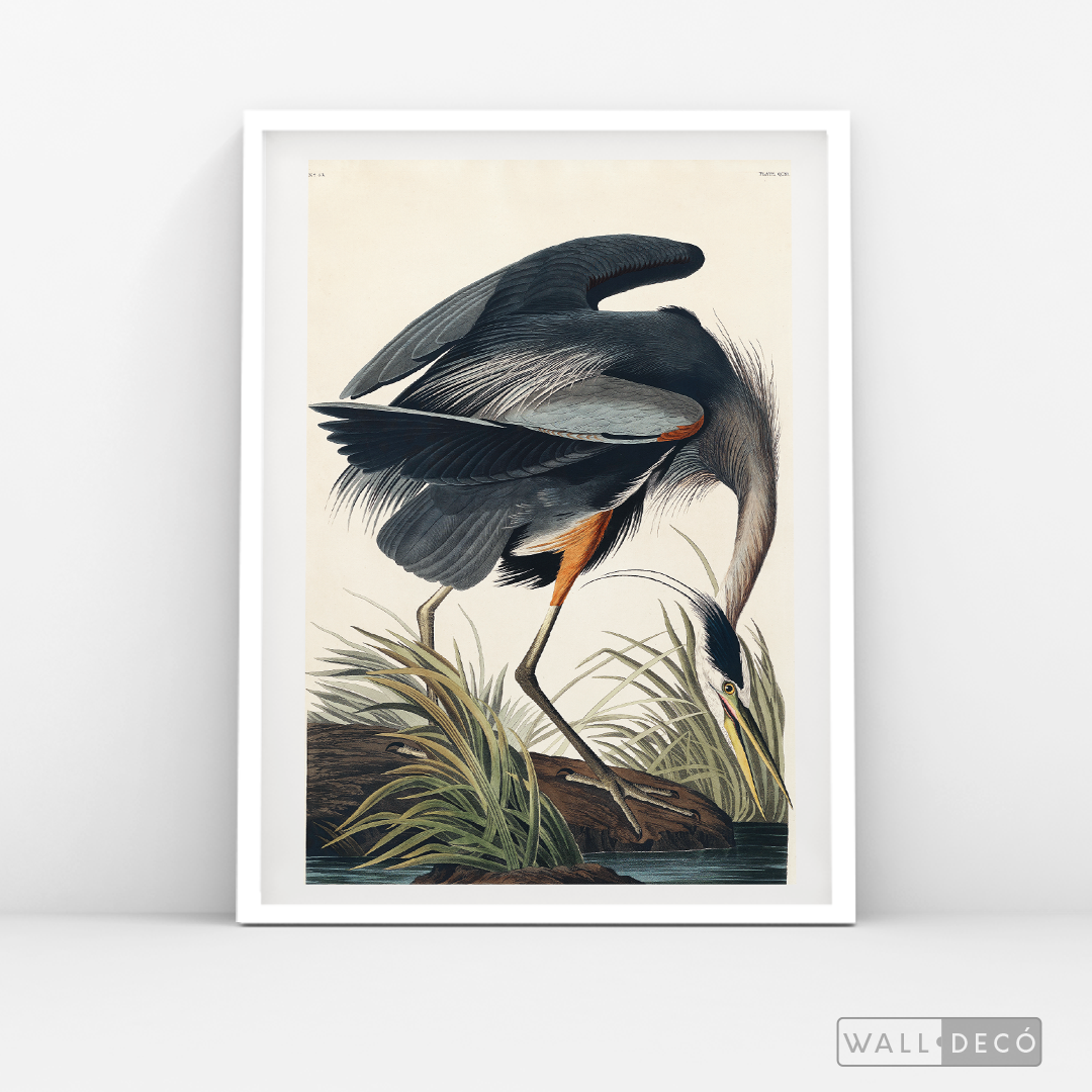 Cuadro Aves Garza