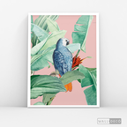 Cuadro Aves Loro Real Azul