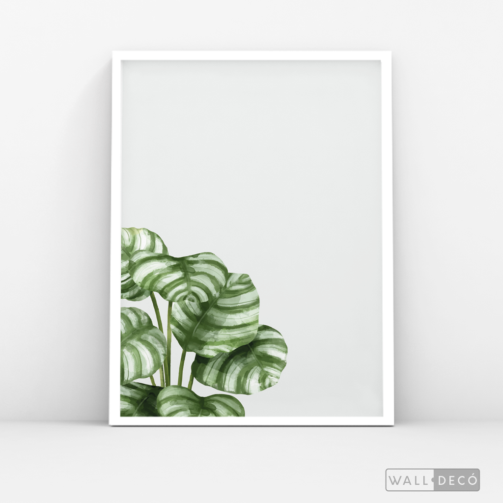 Cuadro Botánico GALATHEA - WalldecóStore