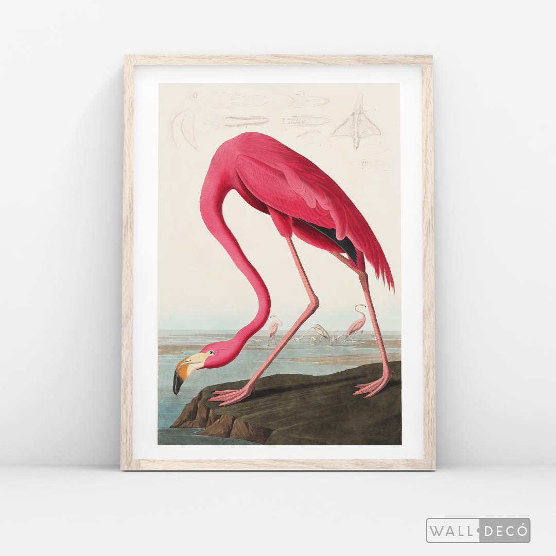 Cuadro Aves Flamenco Mayor