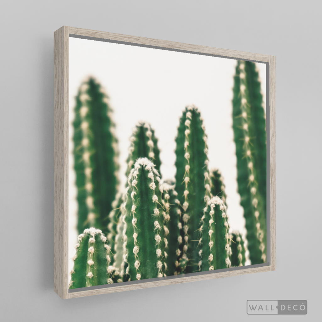 Cuadro Botánico CACTUS