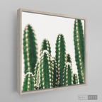 Cuadro Botánico CACTUS