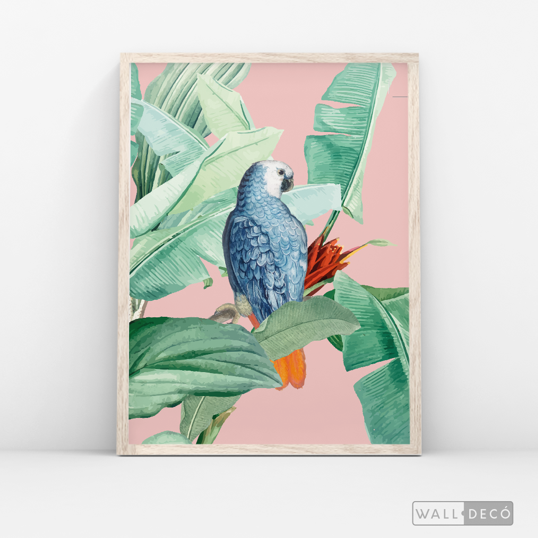 Cuadro Aves Loro Real Azul