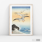 Cuadro Aves Gaviotas Japón