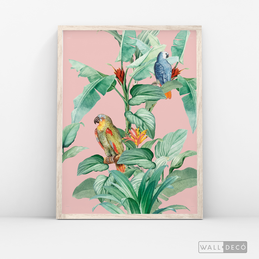 Cuadro Aves Loro Real