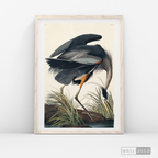 Cuadro Aves Garza