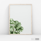 Cuadro Botánico GALATHEA - WalldecóStore