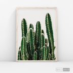Cuadro Botánico CACTUS - WalldecóStore