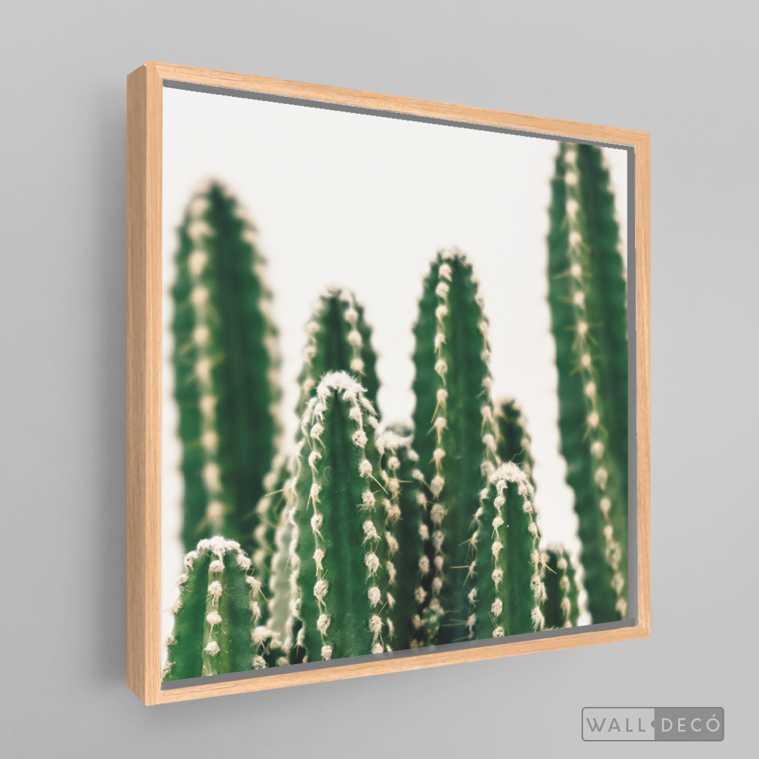Cuadro Botánico CACTUS