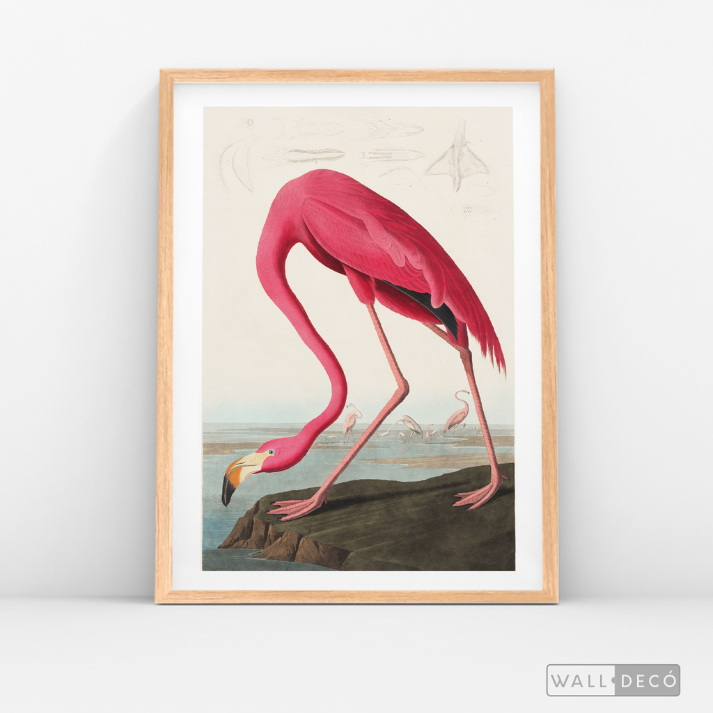 Cuadro Aves Flamenco Mayor