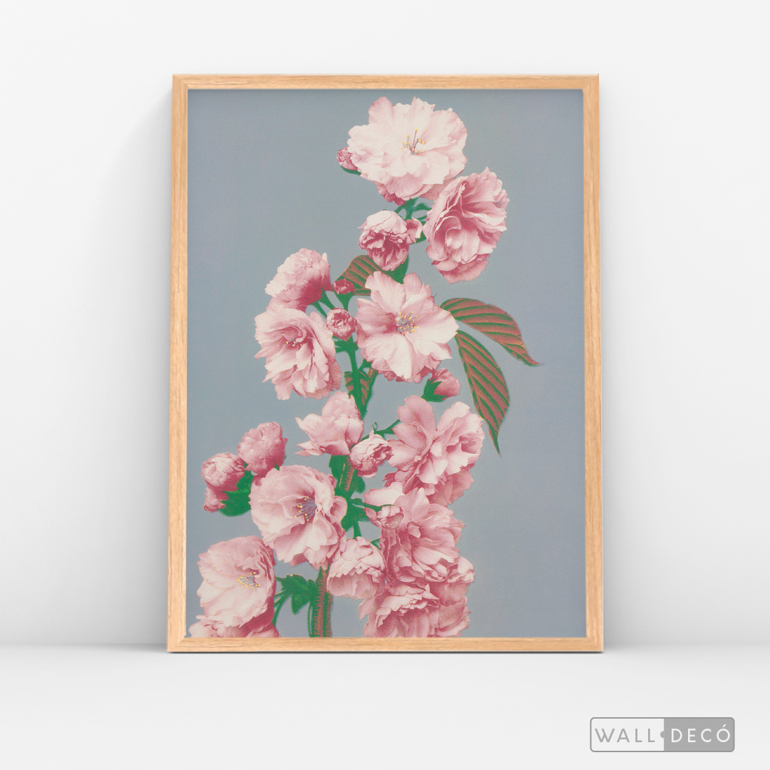 Cuadro Botánico Flores Alma