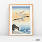 Cuadro Aves Gaviotas Japón
