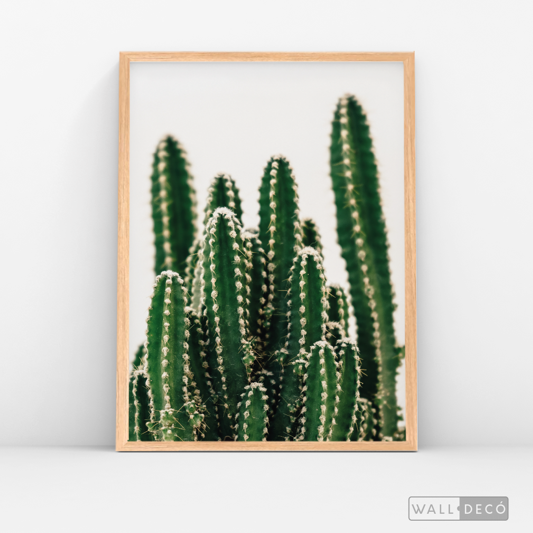 Cuadro Botánico CACTUS