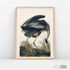 Cuadro Aves Garza