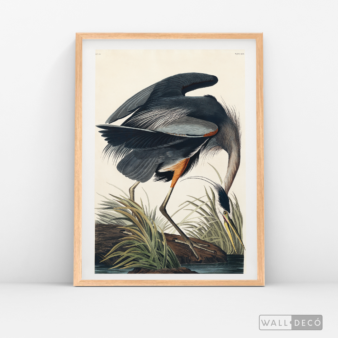 Cuadro Aves Garza