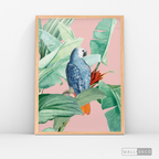 Cuadro Aves Loro Real Azul