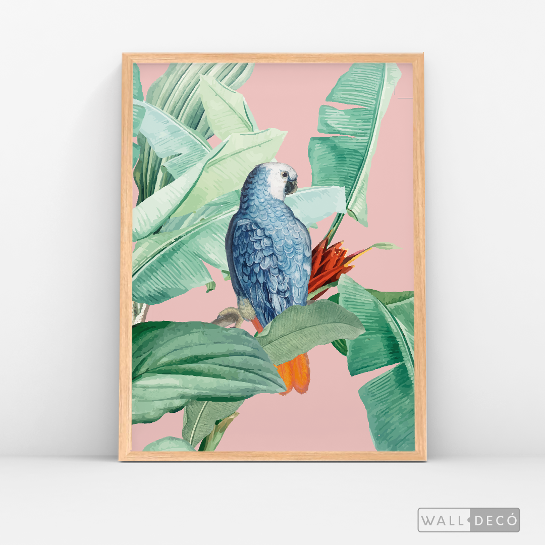 Cuadro Aves Loro Real Azul